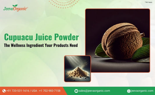 Why Cupuacu Juice Powder is the Perfect Ingredient for Health and Wellness Products