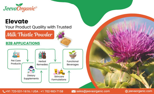 Why Partnering with a Trusted Milk Thistle Powder Supplier is Essential