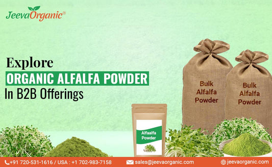 Innovation in B2B Product Development with Organic Alfalfa Powder