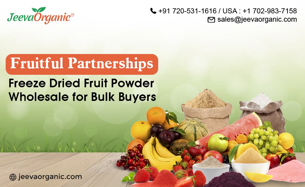 Fruitful Partnerships: Freeze Dried Fruit Powder Wholesale for Bulk Buyers