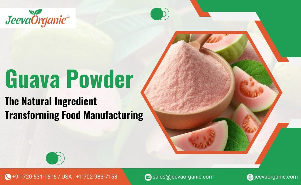 Guava Powder: Revolutionizing Color, Texture, & Preservation in Organic Food Manufacturing