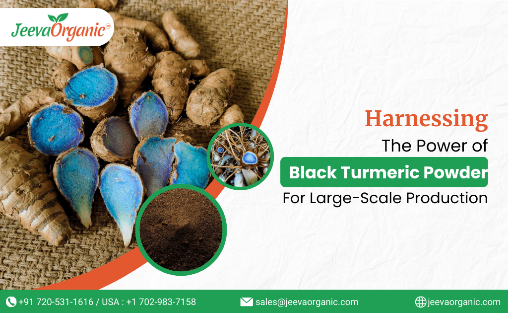 Black Turmeric Powder: A Versatile Ingredient for Large-Scale Manufacturing