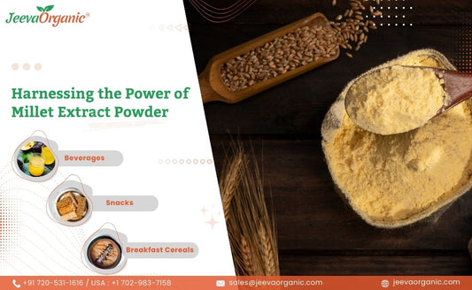 Millet Extract Powder: A Guide for Food and Beverage Manufacturers