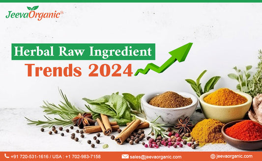 Herbal Raw Ingredient Trends 2024 | Forecast by Wholesale Herb Vendors