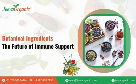 Trending Botanical Ingredients for Immune Support Supplement