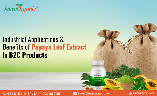 Unlocking the Potential of Papaya Leaf Extract: Your Go-To Wholesale Source