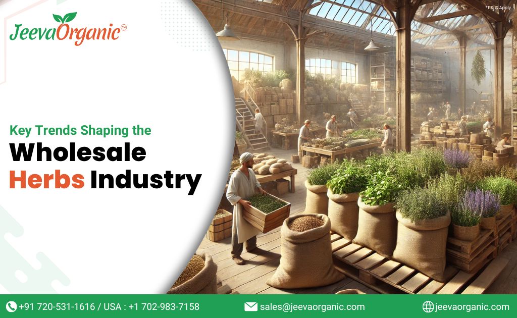 Warehouse with workers and herbs in sacks, highlighting trends in the wholesale herbs industry.