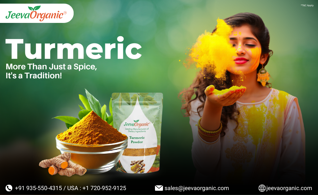 Beyond Curry: The Cultural and Healing Legacy of Turmeric