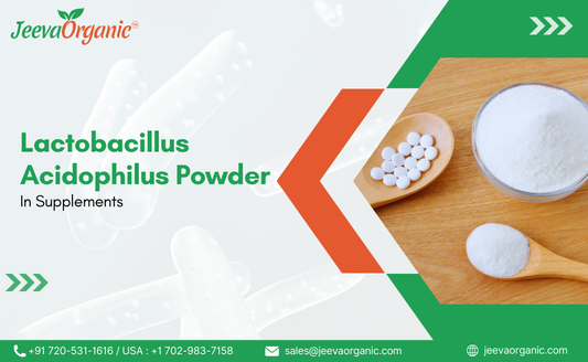 Lactobacillus Acidophilus Powder - A Key Ingredient in Supplements