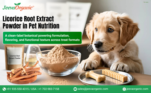 Licorice Root Extract Powder adapts across pet treat systems—without overcomplicating formulation.