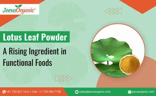 Lotus Leaf Powder in Functional Foods: Trends and Opportunities for B2B Innovators