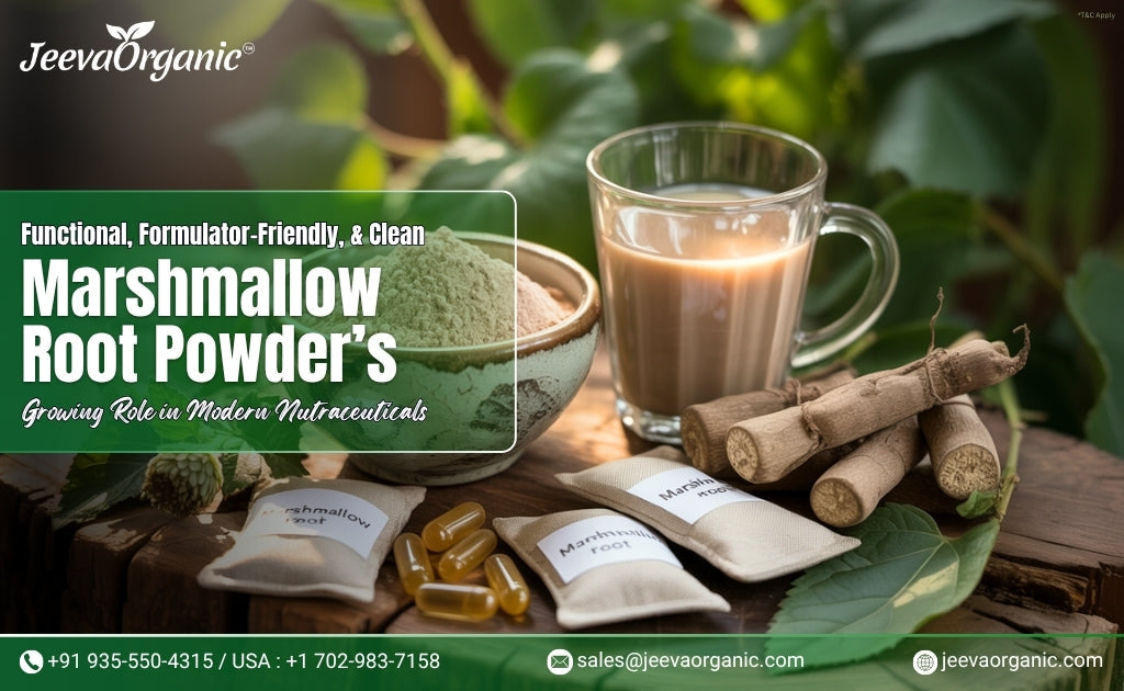 Masmellow Root Marshmallow Root Powder for Nutraceutical Use