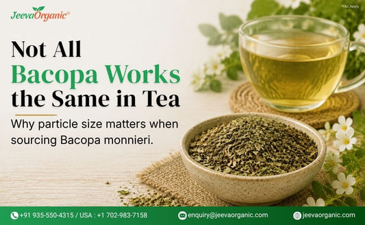 Image showing a cup of Bacopa tea and a bowl of dried Bacopa leaves with text about the importance of particle size in Bacopa monnieri sourcing.