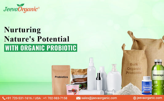 How Organic Probiotic Manufacturers Stay Ahead in Product Development