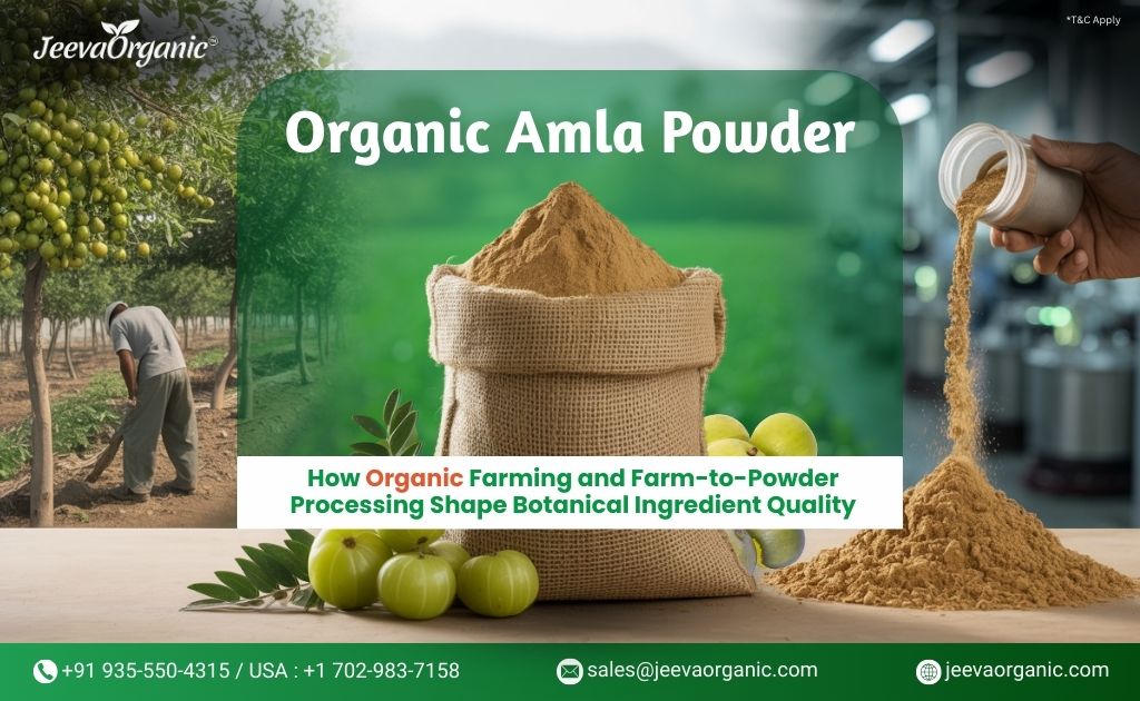 Sack of organic amla powder, in the background showing from farm to powder processing