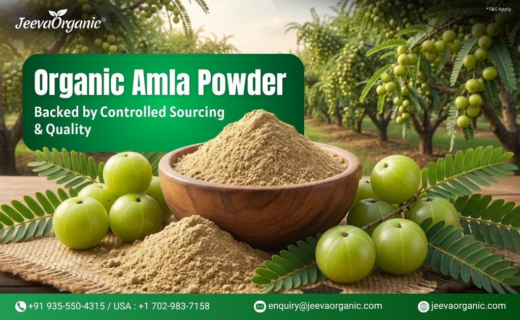Organic Amla Powder: Exploring the Goodness of Indian Gooseberries