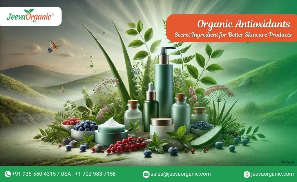 Organic skin care items featuring an arrangement of berries and herbs, showcasing the benefits of natural ingredients.