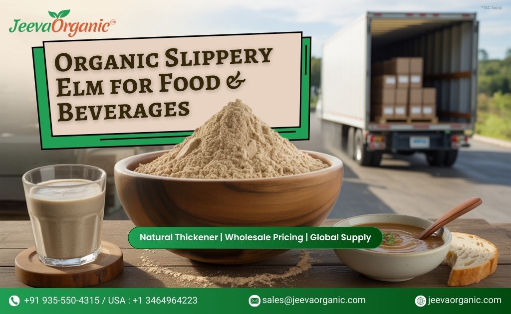 Bulk Organic Slippery Elm Bark Powder | Clean Label Thickener