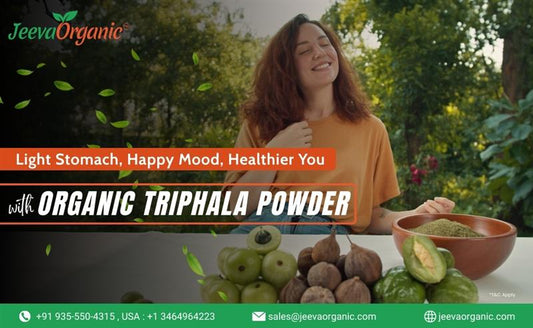 Organic Triphala Powder: From Nani’s Kitchen to Your Wellness Shelf