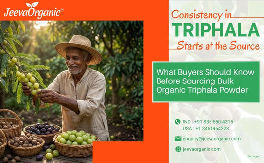 What to Look for When Sourcing Organic Triphala Powder in Bulk