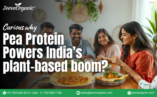 How Pea Protein Powder 80% Is Powering India’s Plant-Based Boom: What B2B Buyers Must Know