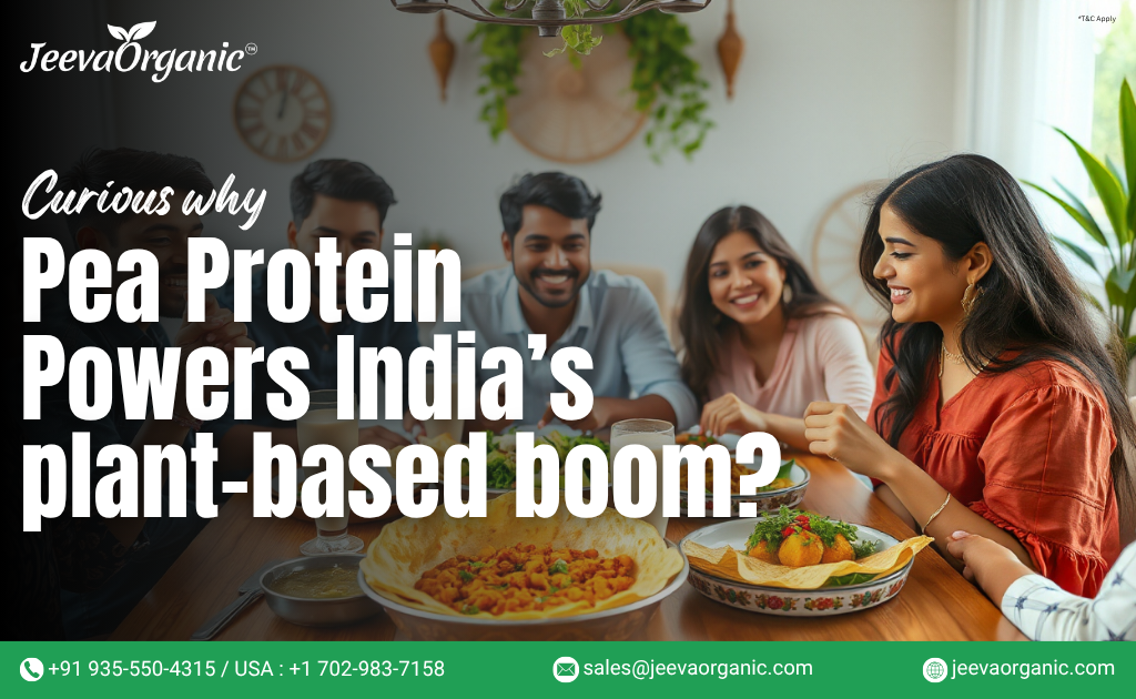How Pea Protein Powder 80% Is Powering India’s Plant-Based Boom: What B2B Buyers Must Know