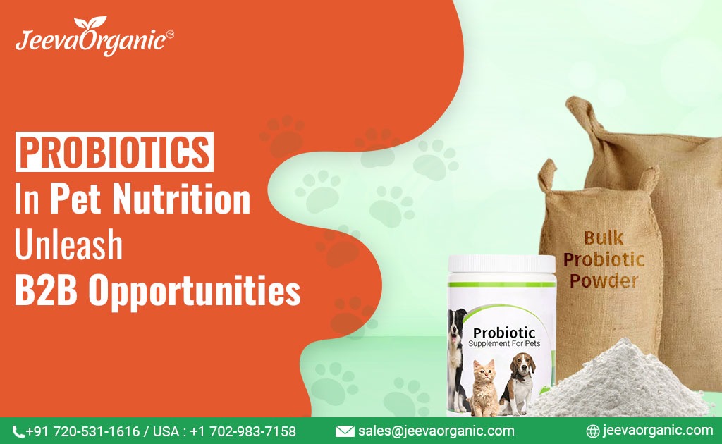 Probiotics in Pet Food Supplements in B2B Product Development?