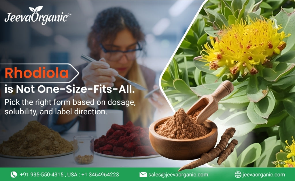 Rhodiola herbal products displayed with powders in bowls and the plant's vibrant yellow flower. Emphasis on tailored dosage and usage.