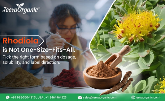 Rhodiola herbal products displayed with powders in bowls and the plant's vibrant yellow flower. Emphasis on tailored dosage and usage.
