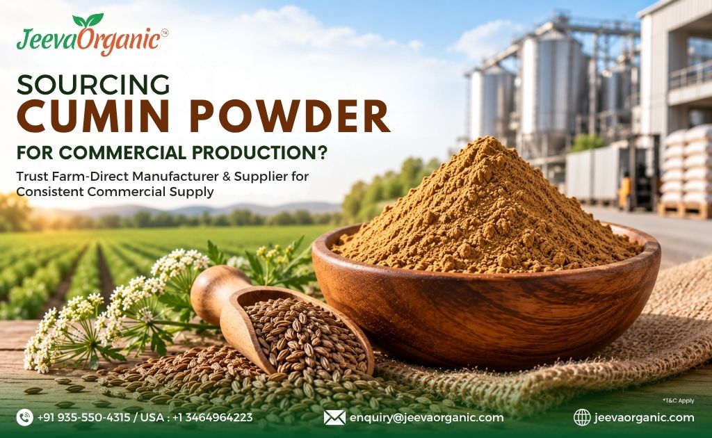 Cumin Powder Manufacturer & Supplier: A Buyer’s Guide to Bulk Sourcing