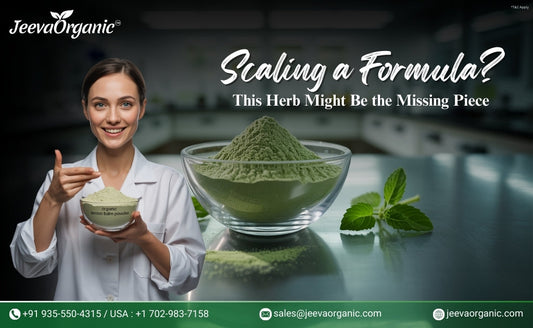 A woman in a lab coat holds a bowl of organic lemon balm powder, surrounded by green herbs in a modern kitchen setting.