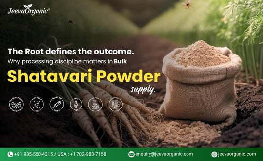 Bulk Shatavari Powder by Jeeva Organic displayed with roots and powder sack, highlighting natural, allergen-free, gluten-free, GMO-free qualities.