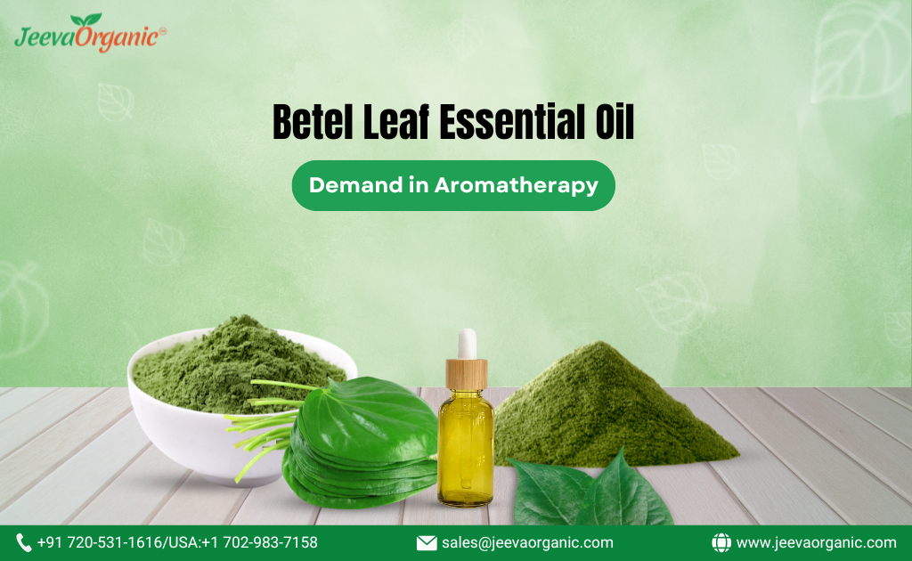 The Surging Demand for Betel Leaf Essential Oil in Aromatherapy