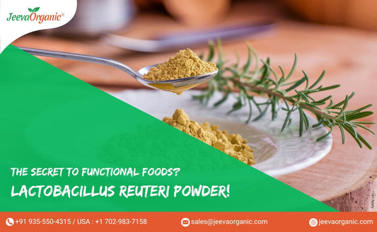 Top 5 Applications of Lactobacillus Reuteri Powder in the Food and Beverage Industry