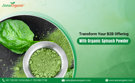 Incorporating Organic Spinach Powder into Your B2B Product Line