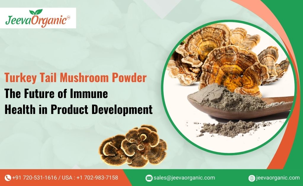 Turkey Tail Mushroom Powder: Trends, Applications, & Comparisons For Product Developers.