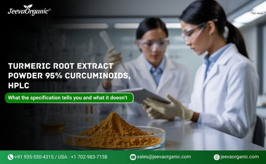 Two individuals in lab coats examine turmeric root extract powder in a laboratory setting, discussing specifications and quality.