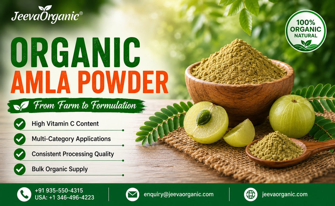 Wooden bowl of Amla Powder with amla and leaves showing Benefits, Bulk supply and application