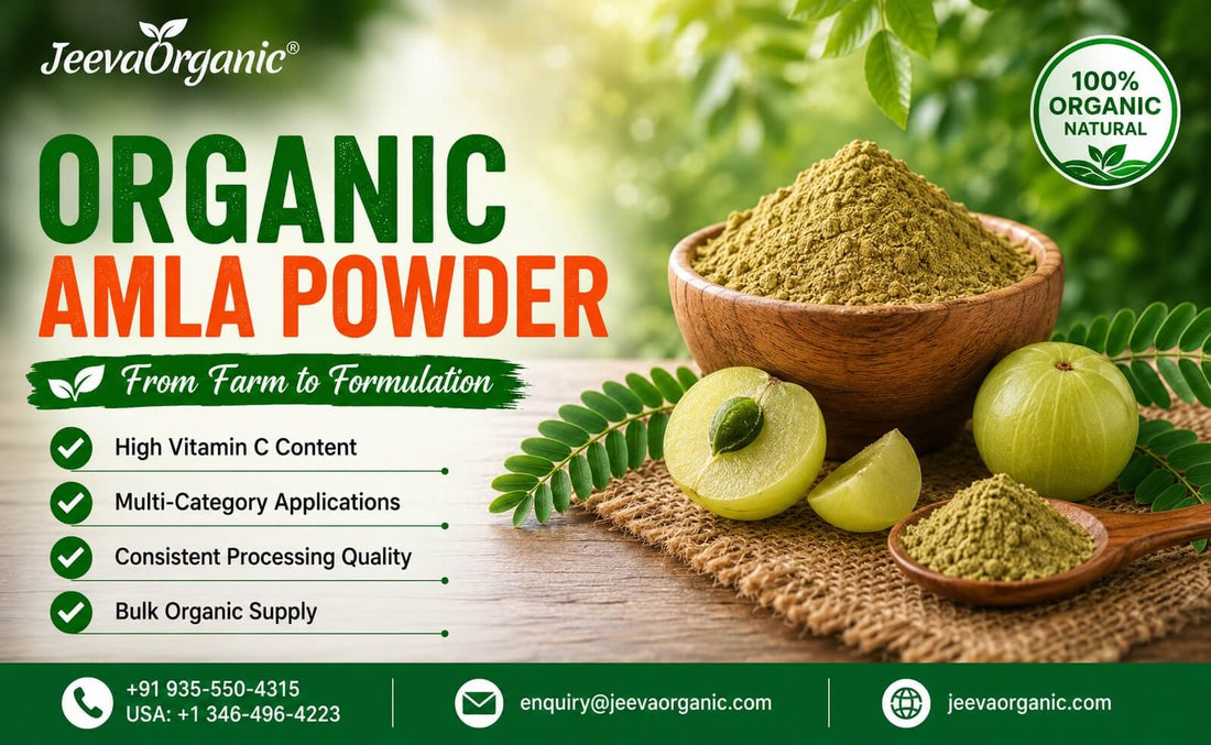Wooden bowl of Amla Powder with amla and leaves showing Benefits, Bulk supply and application