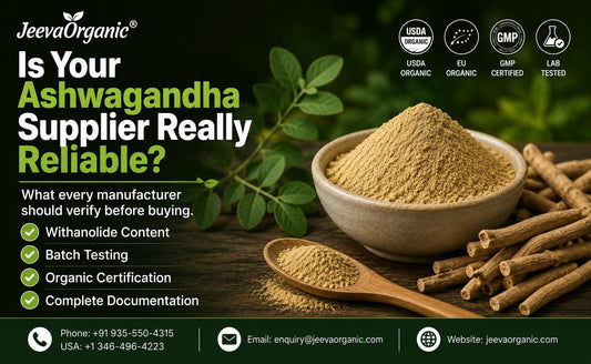 The image representing - White clay bowl and wooden spoon of organic ashwagandha powder in it and roots & leaves of the Withania somnifera plant beside.. Also hilighting what manufacturer should verify before buying order in bulk.   