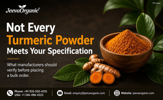 Bulk organic turmeric powder sourcing guide for manufacturers