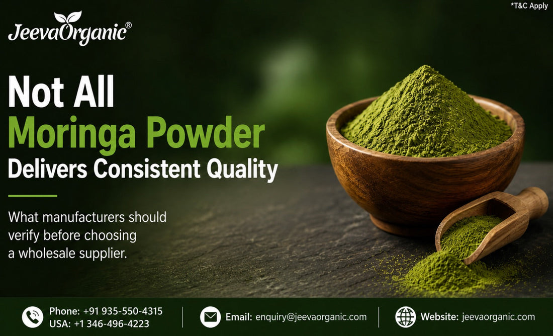 Bulk organic moringa leaf powder banner showing quality standards for wholesale manufacturers.