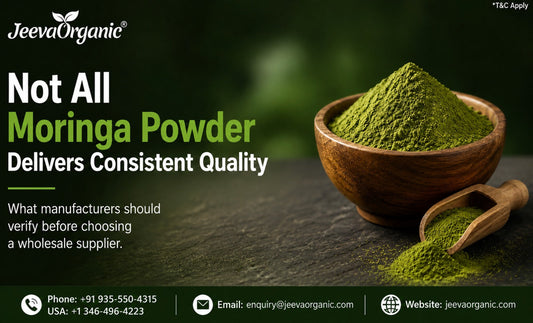 Bulk organic moringa leaf powder banner showing quality standards for wholesale manufacturers.