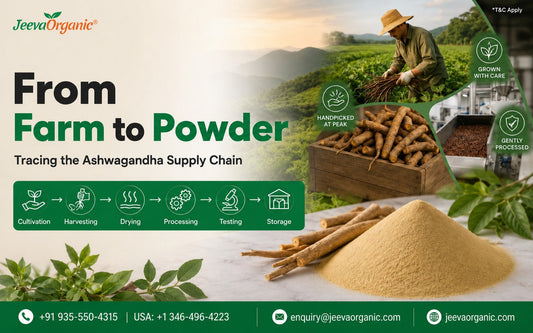 Ashwagandha supply chain from farm to powder