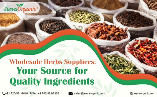 Wholesale Herbs Suppliers: Your Source for Quality Ingredients