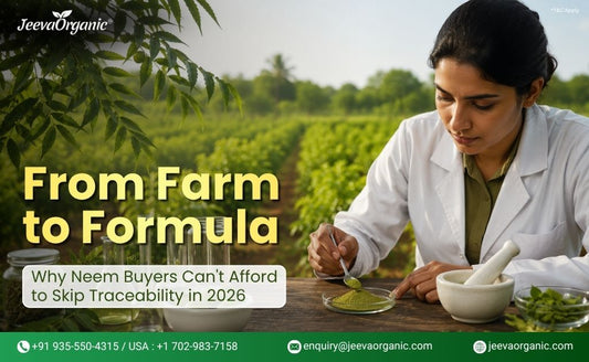 Traceability and Neem Ingredients: Why Buyers Can No Longer Compromise