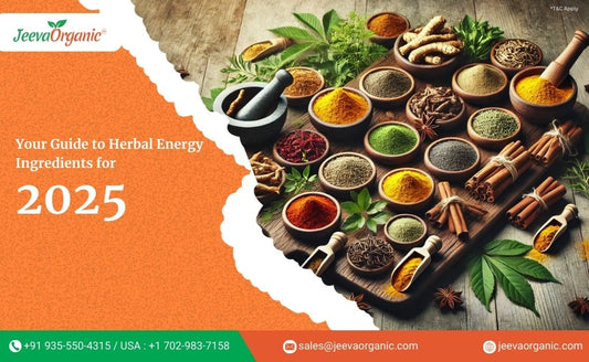 Top Organic Ingredients for Energy and Endurance in Functional Foods