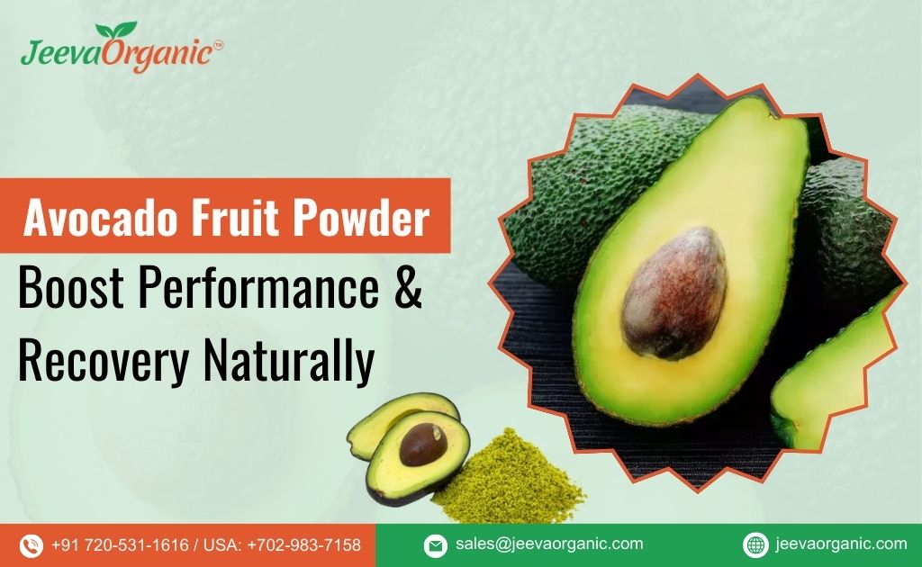 Fortifying Sports Nutrition Products with Avocado Fruit Powder