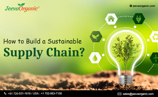 Building a Sustainable Supply Chain: How Jeeva Organic Supports Their Partners