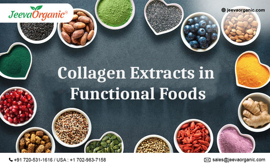 Collagen Extracts in Functional Foods: Formulation Challenges and Solutions